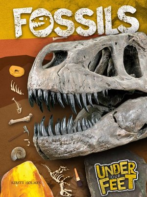 cover image of Fossils
